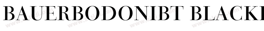 BauerBodoniBT BlackI字体转换